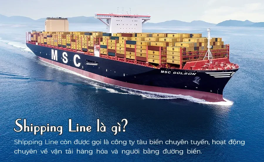 Asian line là gì - Image 3