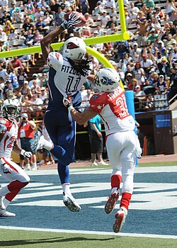 NFL total là gì - Image 3
