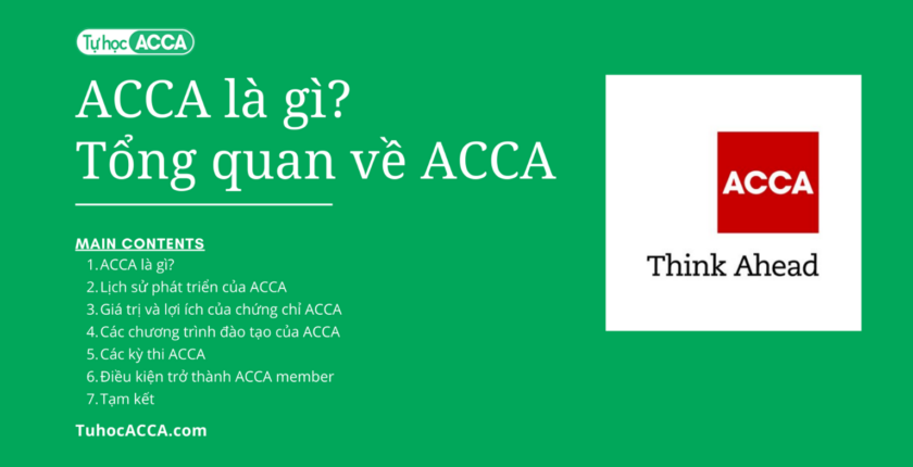 acca 4 là gì - Image 3