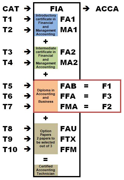 acca 4 là gì - Image 5