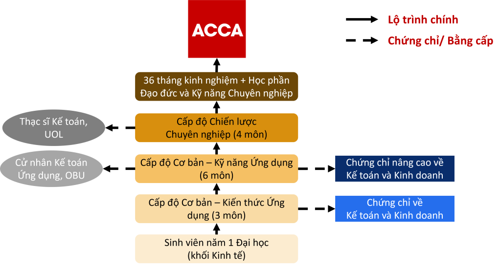 acca 7 là gì