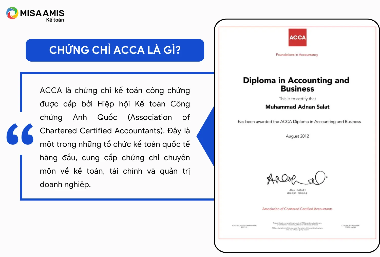 acca 8 là gì - Image 4