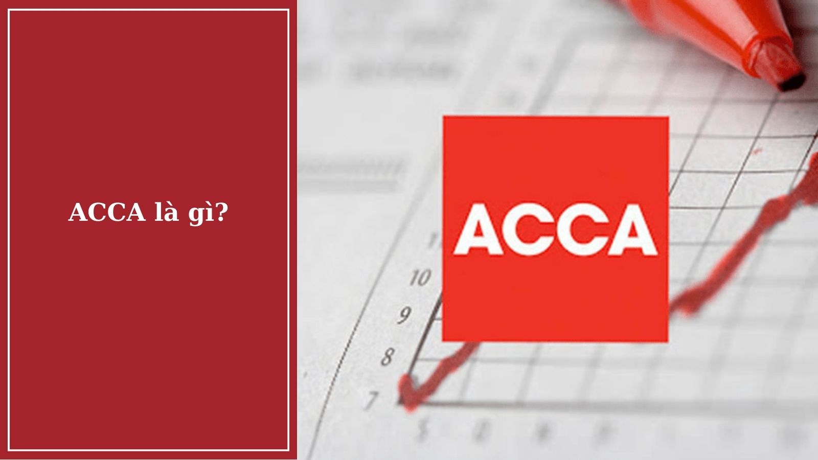 acca 9 là gì - Image 5