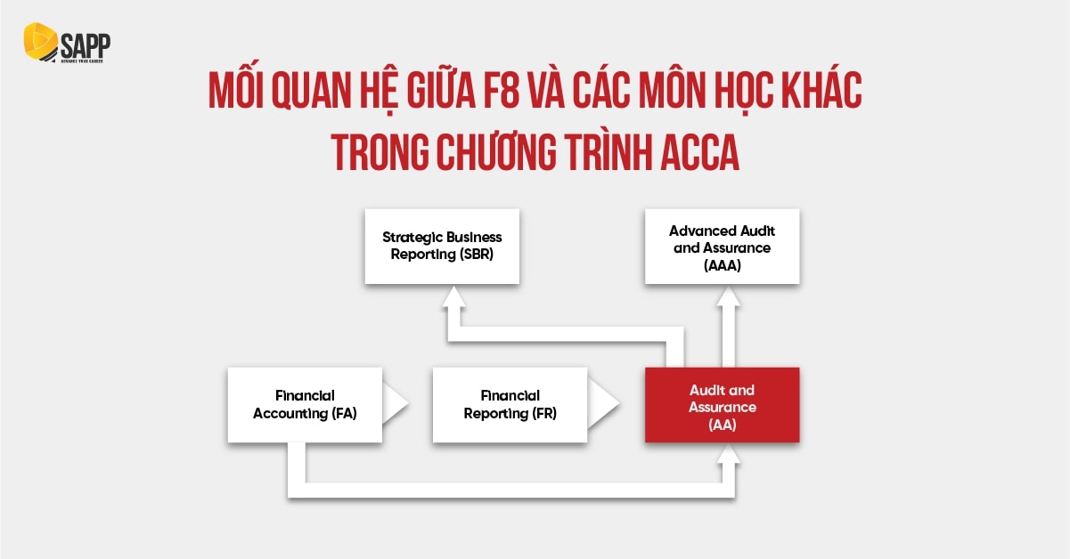 acca insurance là gì - Image 2