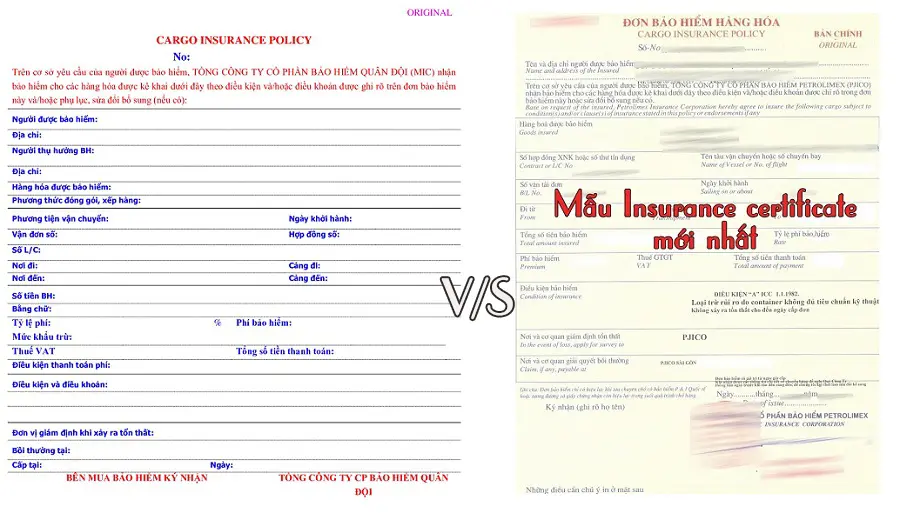 bet insurance là gì - Image 5