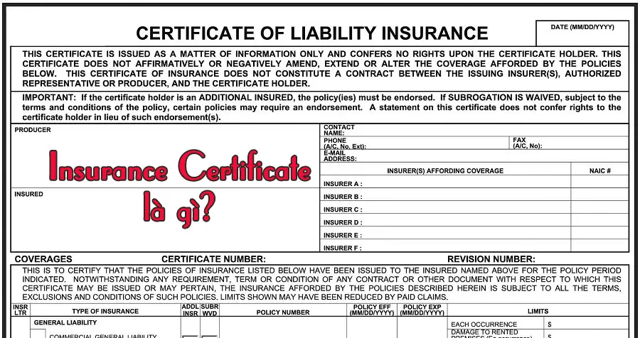 bet insurance là gì - Image 1