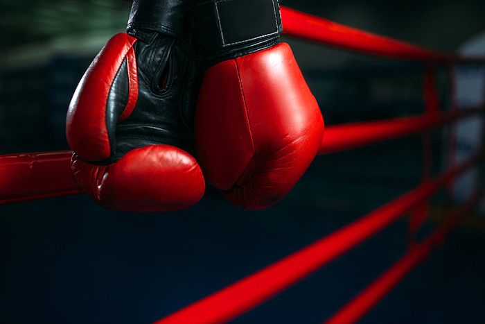 boxing method of victory là gì - Image 3