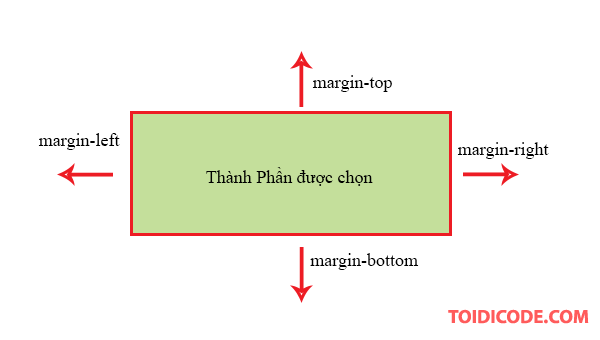 correct margin là gì - Image 5