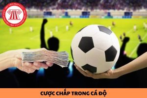 cược chấp là gì