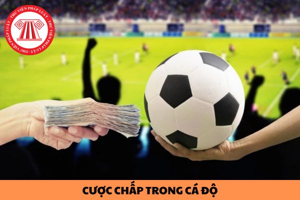 cược chấp là gì