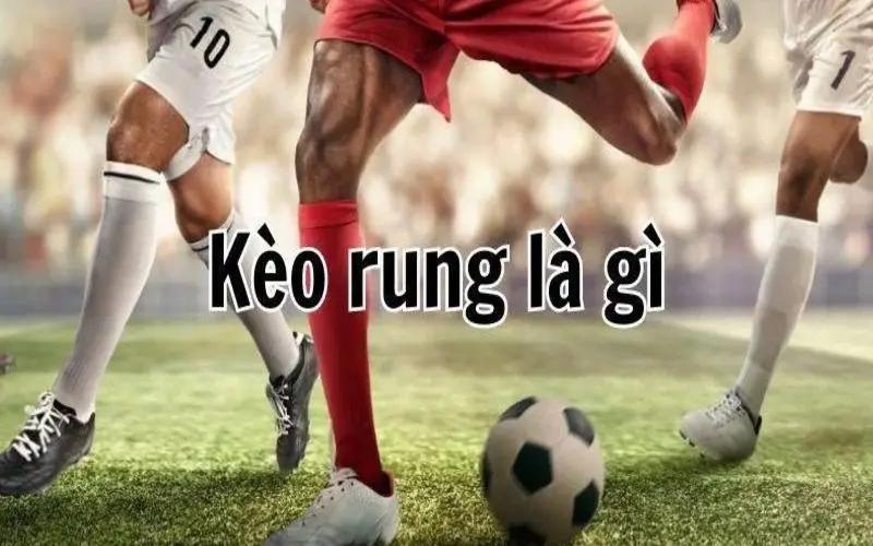 cược rung là gì - Image 3