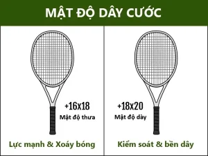 cược tennis là gì