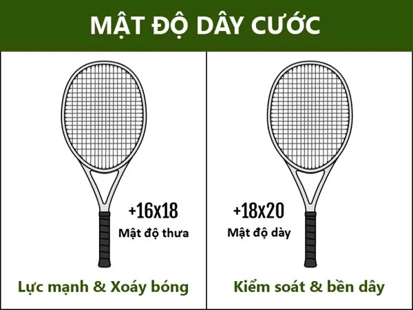 cược tennis là gì - Image 1