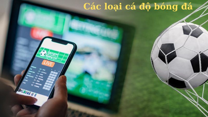 cược tỷ số là gì - Image 5