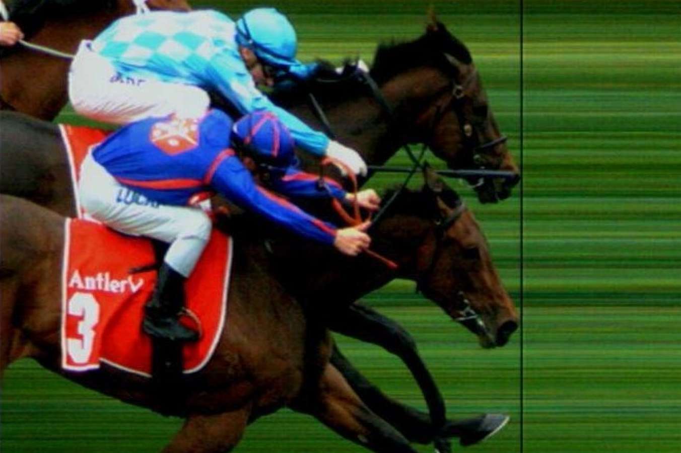 dead heat rule là gì - Image 1