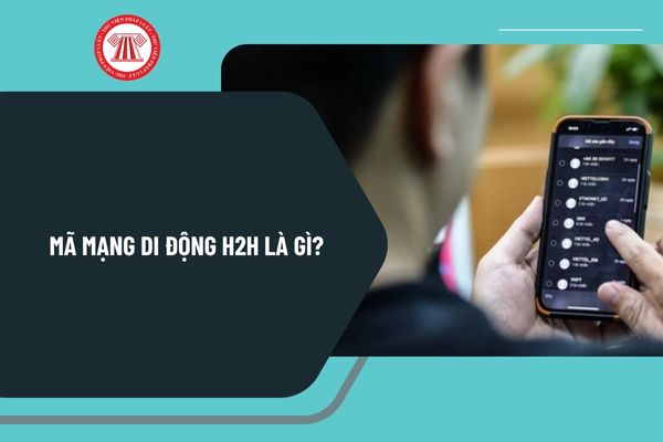đối đầu H2H là gì - Image 3