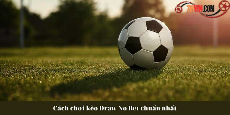 draw no bet là gì - Image 4