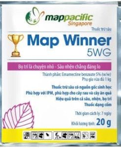 first map winner là gì