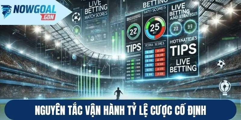 fixed betting là gì - Image 4