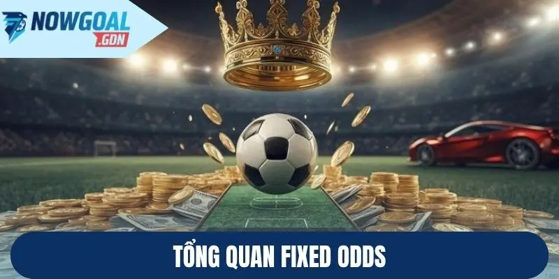 fixed betting là gì - Image 5