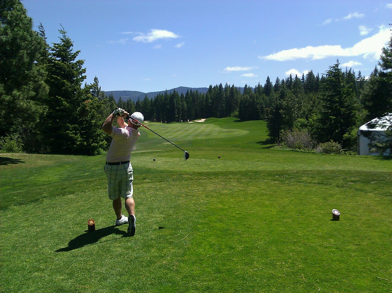 golf each way là gì - Image 3