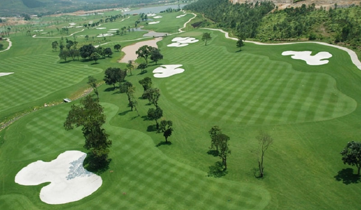 golf each way là gì - Image 4