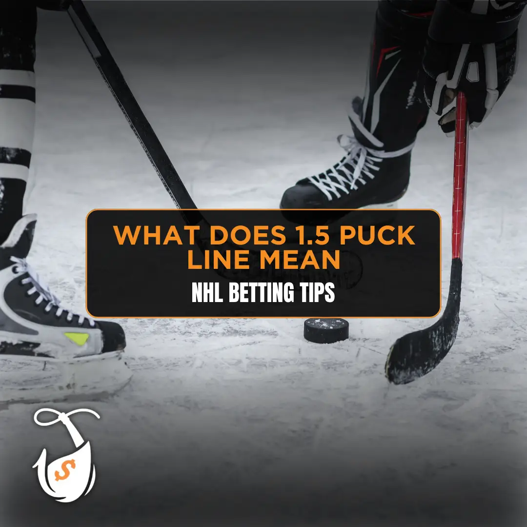 hockey puck line là gì - Image 3