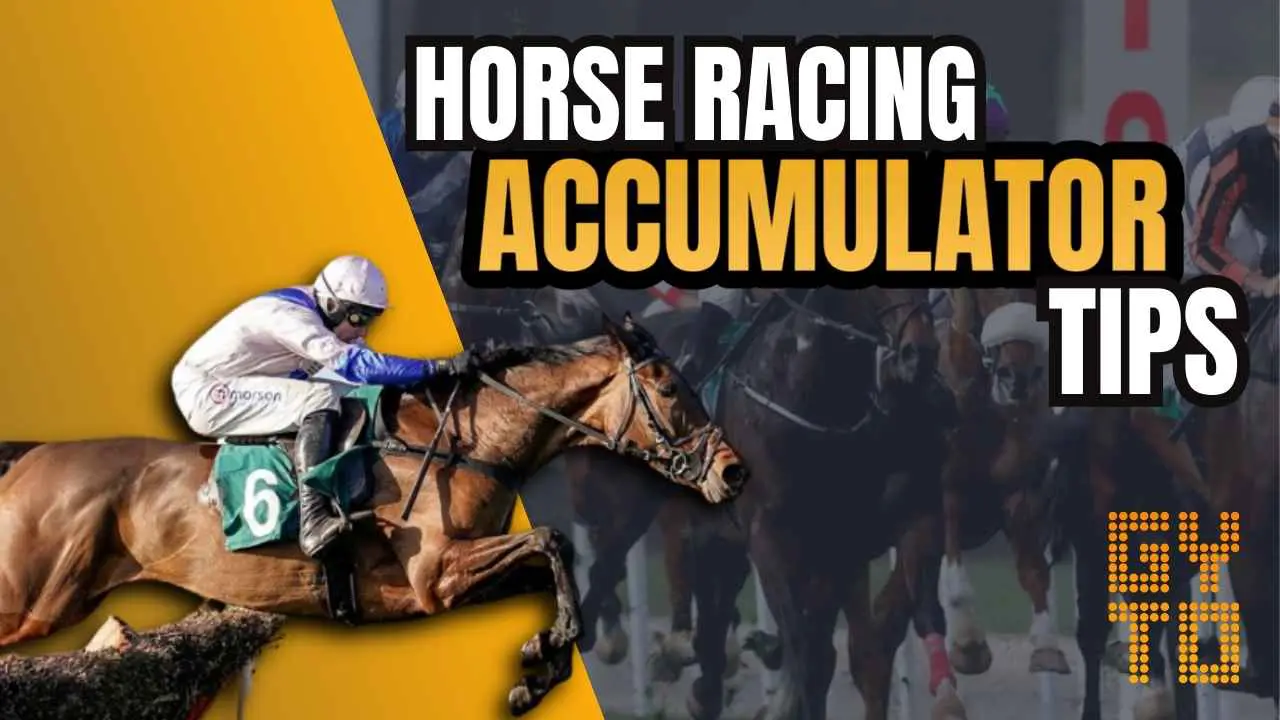 horse racing accumulator là gì - Image 2