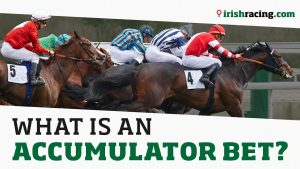 horse racing accumulator là gì