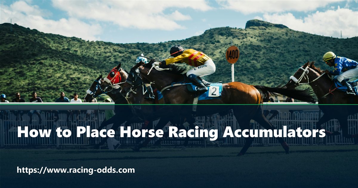 horse racing accumulator là gì - Image 5