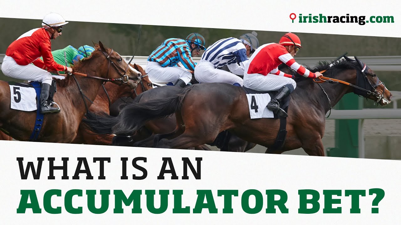 horse racing accumulator là gì - Image 1