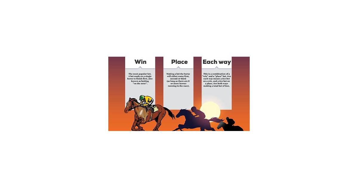 horse racing each way là gì - Image 2