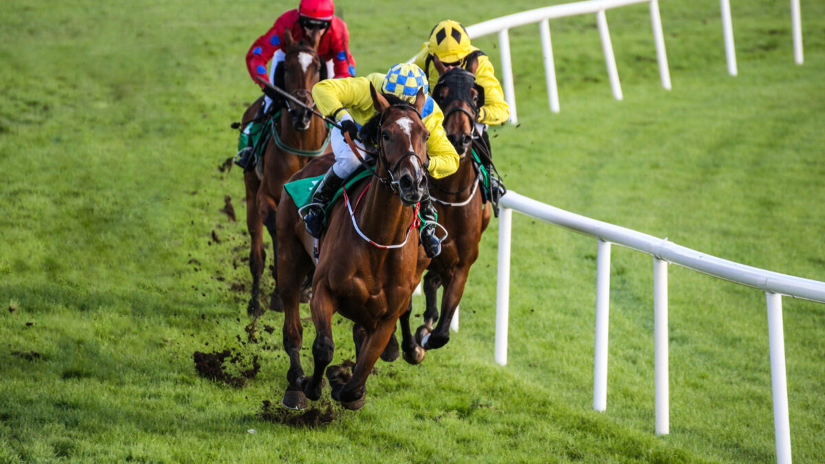 horse racing form là gì - Image 3