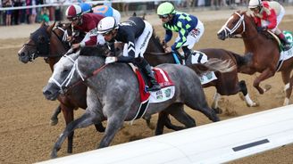 horse racing handicap là gì - Image 4