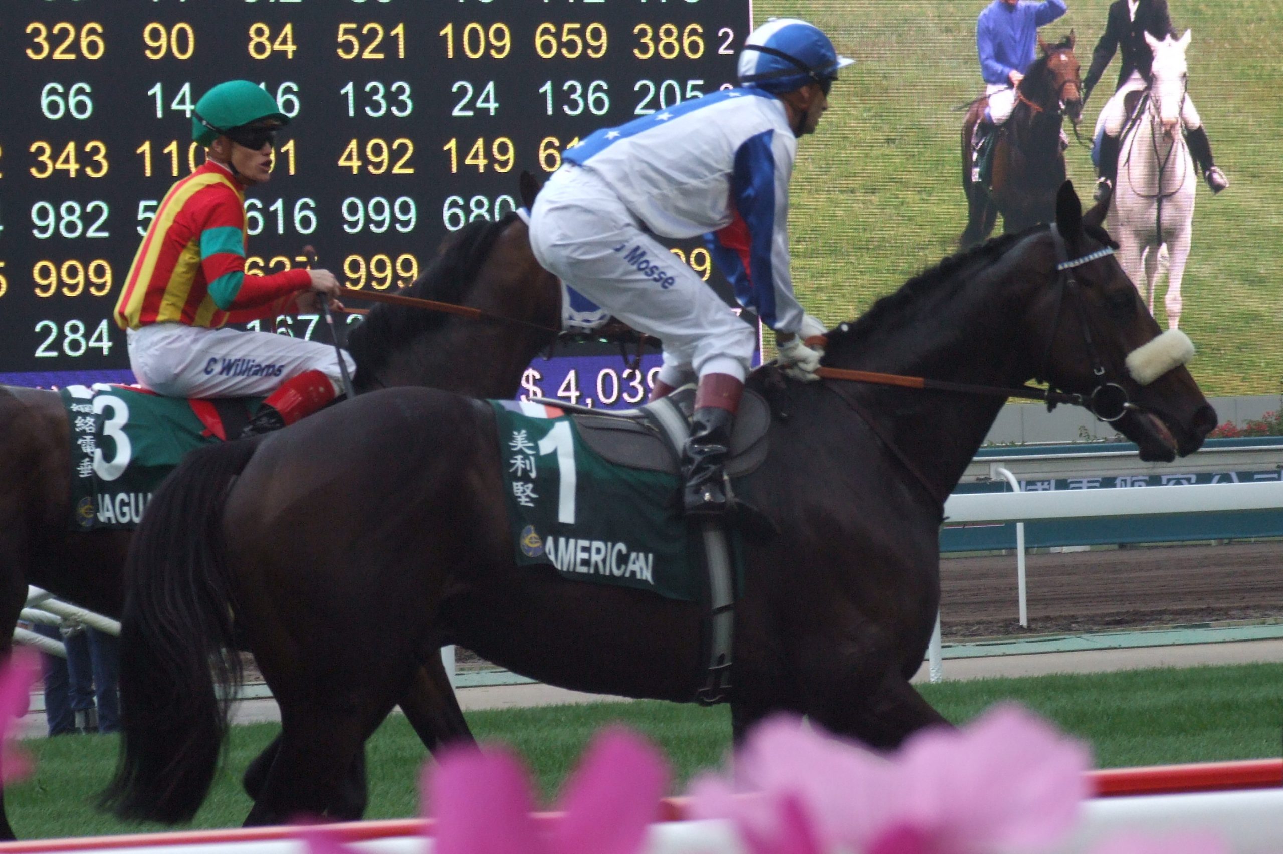 horse racing handicap là gì - Image 1