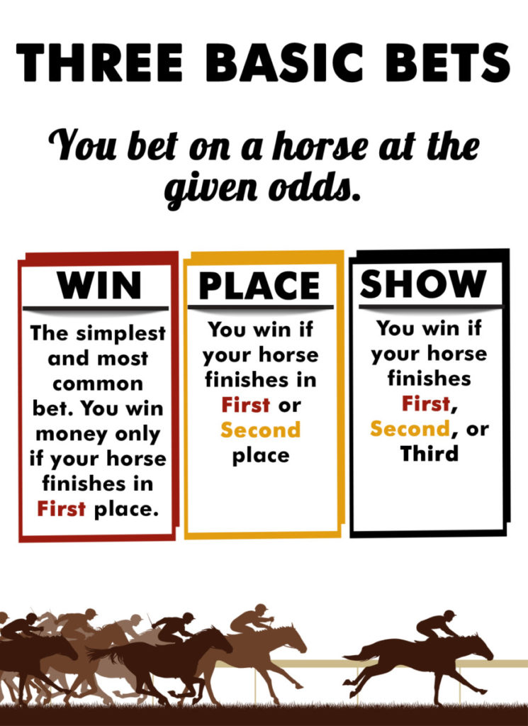 horse racing odds là gì - Image 2