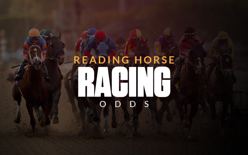 horse racing odds là gì - Image 4