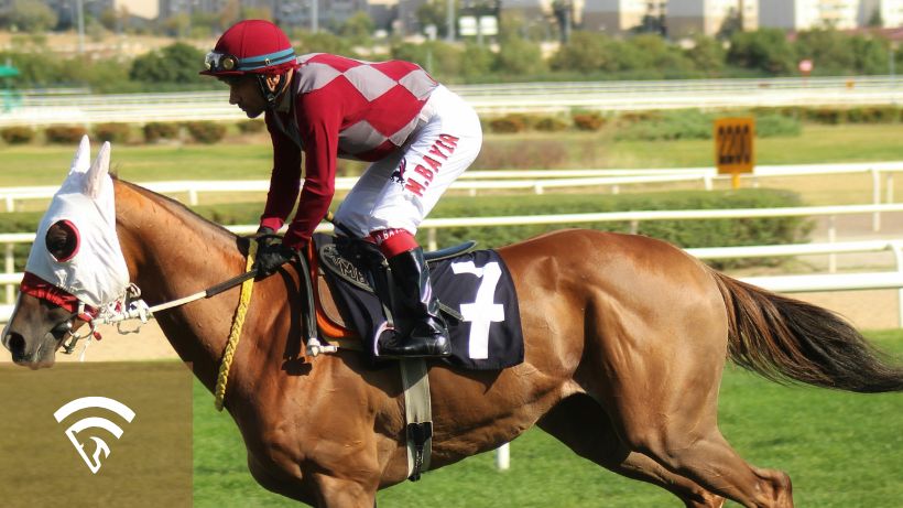 horse racing tote là gì - Image 3
