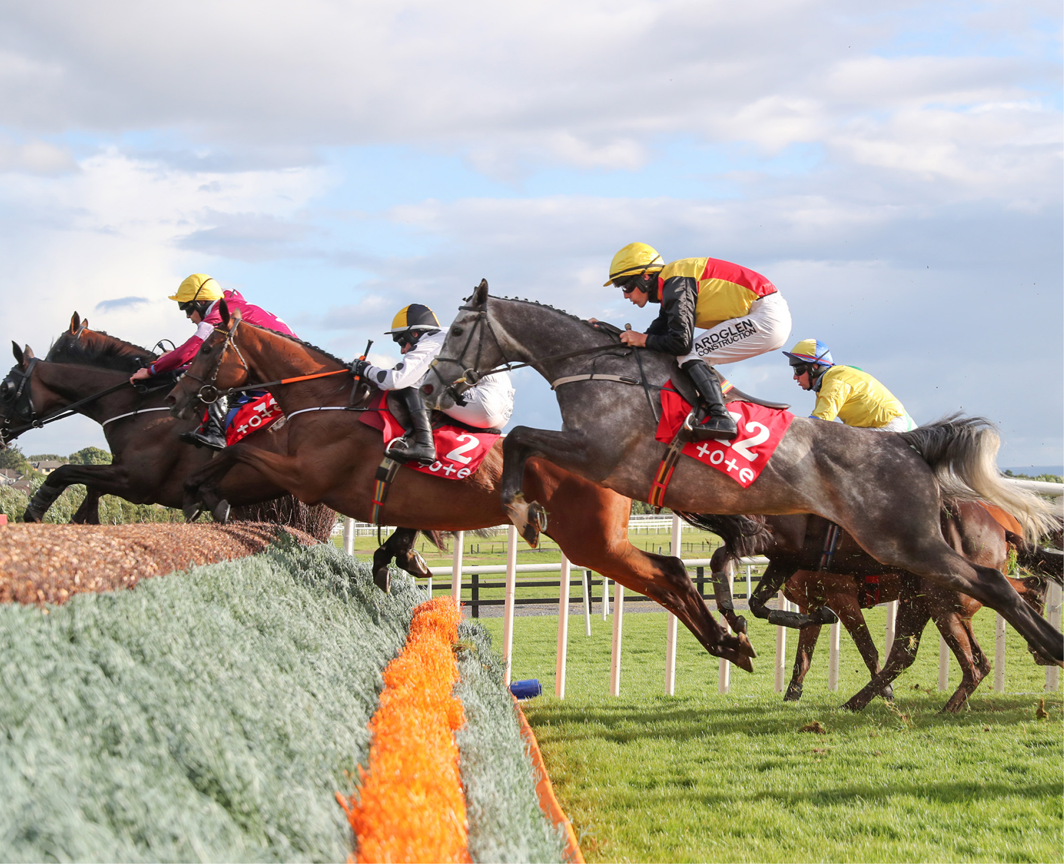horse racing tote là gì - Image 4