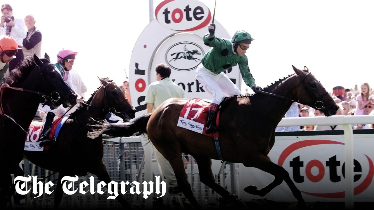 horse racing tote là gì - Image 5