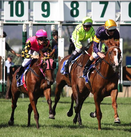horse racing tricast là gì - Image 2