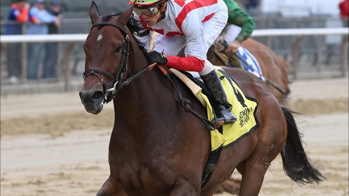 horse racing tricast là gì - Image 3