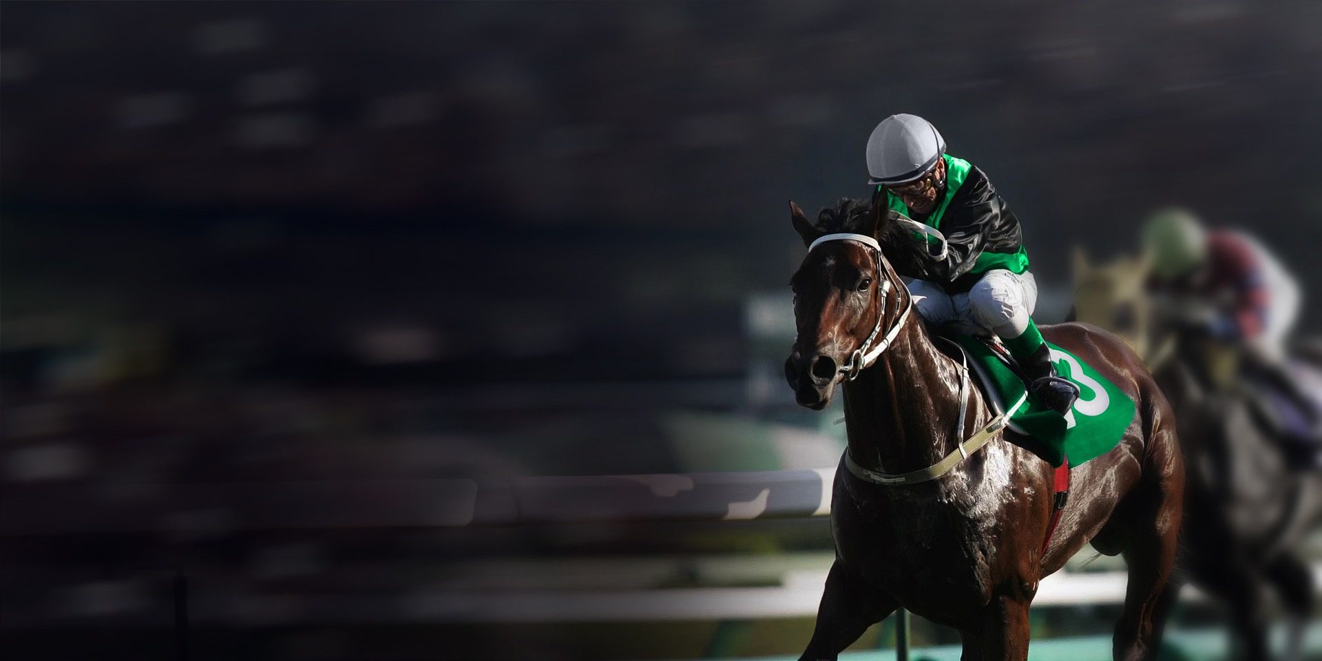 horse racing win place là gì - Image 3