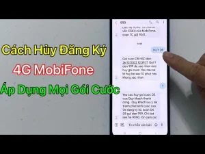 hủy cược là gì