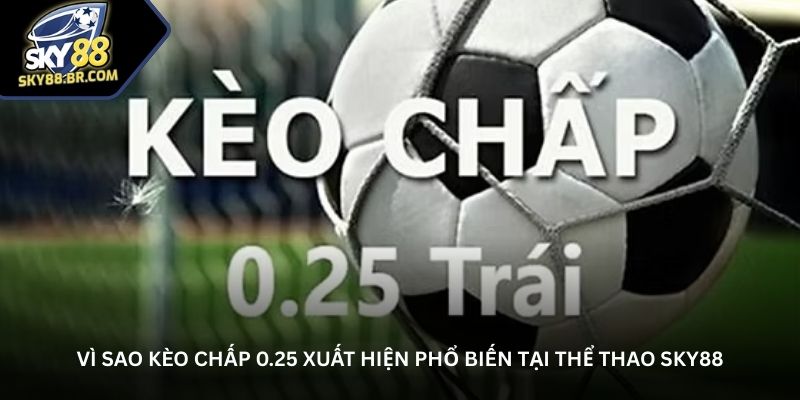 kèo 0.25 là gì - Image 3