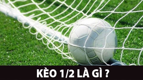 kèo 0.5 là gì - Image 5
