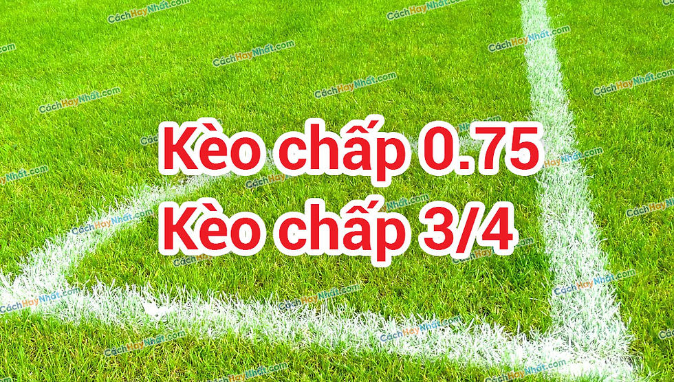 kèo 1.75 là gì - Image 3