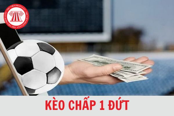 kèo 1X là gì - Image 4