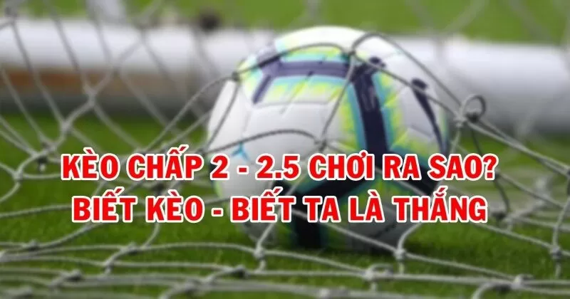 kèo 2.5 là gì - Image 3