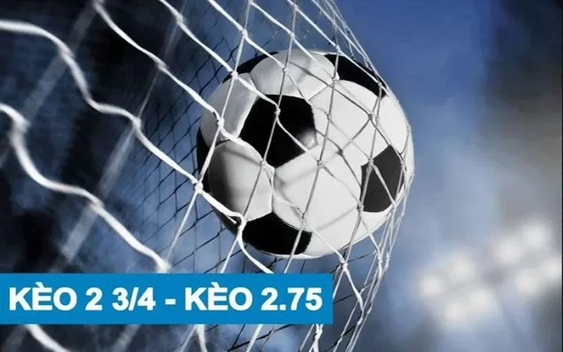 kèo 2.75 là gì - Image 2
